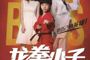 龙拳小子修炼秘籍-武术精髓解析