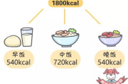 健康瘦身，营养搭配攻略-实现身材与健康的双赢