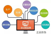 网络营销系统,全方位解决方案解析-提升企业竞争力