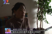 老版西游记83版全集，经典再现-探寻魅力背后的故事