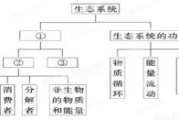 魔力瘦身茶,自然减肥解决方案-全面解析与使用指南