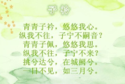 青青子衿，古韵今风-古典诗词中的文化传承解析
