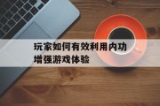 玩家如何有效利用内功增强游戏体验