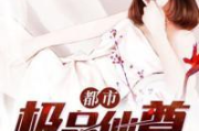 都市极品医神，高效解决健康难题-全方位医疗服务解析
