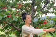 24小时瘦身法,快速减肥方案-健康瘦身指南