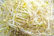 豆芽视频免费追剧,享受高清流畅观影体验-使用指南