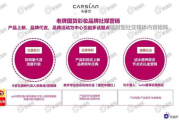 网络营销成功案例解析-实战经验与策略分析