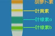 安踏代理如何直接与厂家联系-提升供应链效率与销售业绩