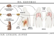 一生美去狐臭-科学方法解析与实践指南