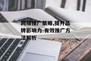 网络推广策略,提升品牌影响力-有效推广方法解析