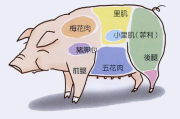 东莞整站优化,提升在线竞争力-全方位SEO策略解析