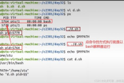 脚本软件功能与应用-提高工作效率的解决方案解析