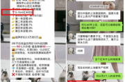 微信公众号开发,提升用户体验与运营效率-解决方案解析