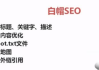 SEO基础视频教程-快速掌握搜索引擎优化技巧