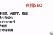 SEO基础视频教程-快速掌握搜索引擎优化技巧