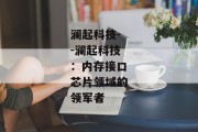 澜起科技--澜起科技：内存接口芯片领域的领军者