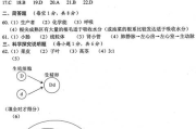 服装设计图创作技巧与要点解析-时尚设计必备指南