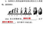 13部顶级高分悬疑剧,深度剖析与精彩剧情解读