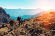 森林徒步旅行,亲近自然的心灵之旅-探索与体验