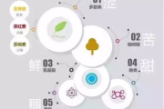 瘦身茶功效与实际效果解析-健康减肥新选择