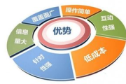 网络媒体推广策略与实践解析