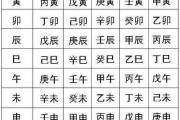 生辰八字免费取名，专业取名网助力美好人生起航