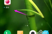 荔枝软件,全方位功能解析-优化用户体验之道