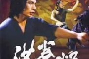 洪拳小子，武术电影的瑰宝-电影网中的文化传承