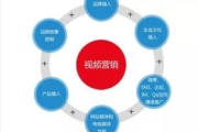 视频营销成功案例解析-策略与实践