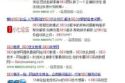 站长工具与精品视频资源优化策略-提升网站性能解析