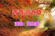 青青河边草免费观看西瓜视频平台全攻略