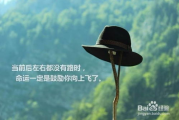 人生必看30部电影-深度解析与感悟分享