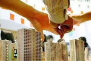 瘦身圆子价格解析-市场行情与购买建议