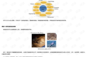鬼吹灯系列正确观看顺序解析-助你畅游盗墓世界