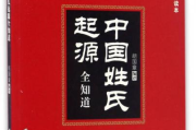双胞胎一前一后夹心饼干双子,创意烘焙解决方案解析