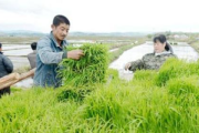 儿子耕种母亲的田地叫什么名字-传统农耕文化解析