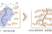 瘦身奶片效果分析-减肥辅助产品深度评测
