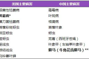 手机键盘输入法下载与使用指南-提高输入效率的秘诀