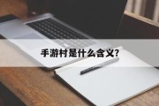 手游村是什么含义？