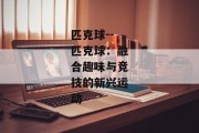 匹克球--匹克球：融合趣味与竞技的新兴运动