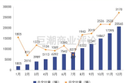 网络服务与网络推广策略解析-提升在线竞争力的解决方案