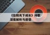 《在阳光下成长》诗歌深度解析与感悟