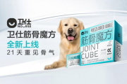 bt磁力狗使用详解与优化技巧-提升下载效率与安全性