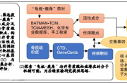 韩国日东瘦身糖,真实效果与使用体验-减肥辅助品评测