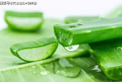 芦荟小丸子瘦身胶囊,自然瘦身解决方案解析