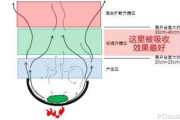 瘦身果吸,健康减肥新选择-瘦身原理与使用指南