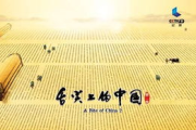 jojo的奇妙冒险第一季,探索奇妙世界的起点-剧情解析与角色评析