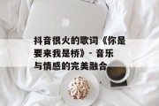 抖音很火的歌词《你是要来我是桥》- 音乐与情感的完美融合