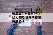 杨爱瑾个人品牌SEO优化策略,提升网络曝光度解析