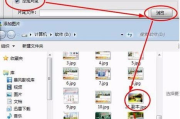 免费电子相册制作软件,轻松打造个性化数码记忆-功能与操作解析